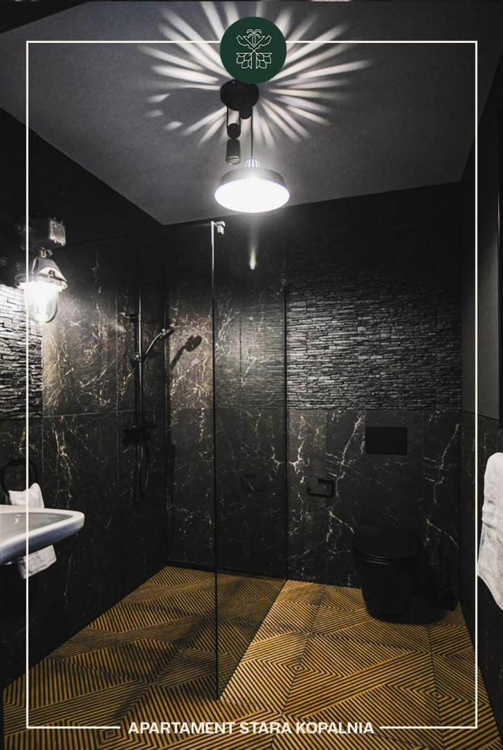 Apartamenty Przy Zamkowej W Walbrzychu Luaran gambar